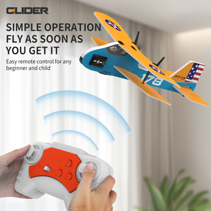 Professional RC Plane 2.4G Rad - Kids Toys Under $20 recensione e prezzo