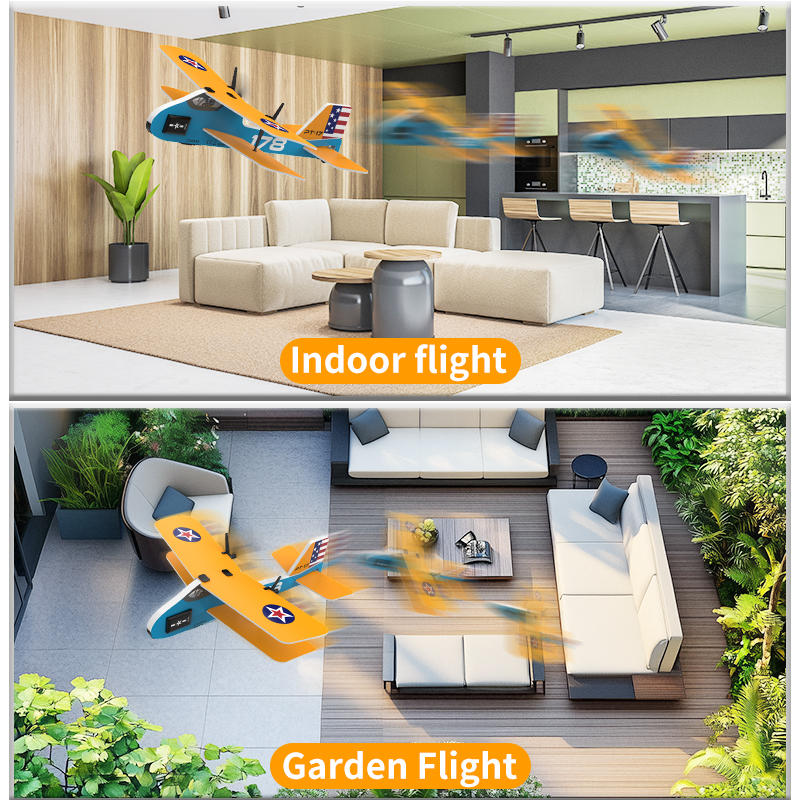 Professional RC Plane 2.4G Rad - Kids Toys Under $20 recensione e prezzo