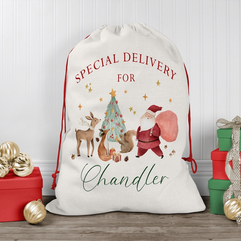 Personalised Name Christmas Dr - Kids Toys Names recensione e prezzo