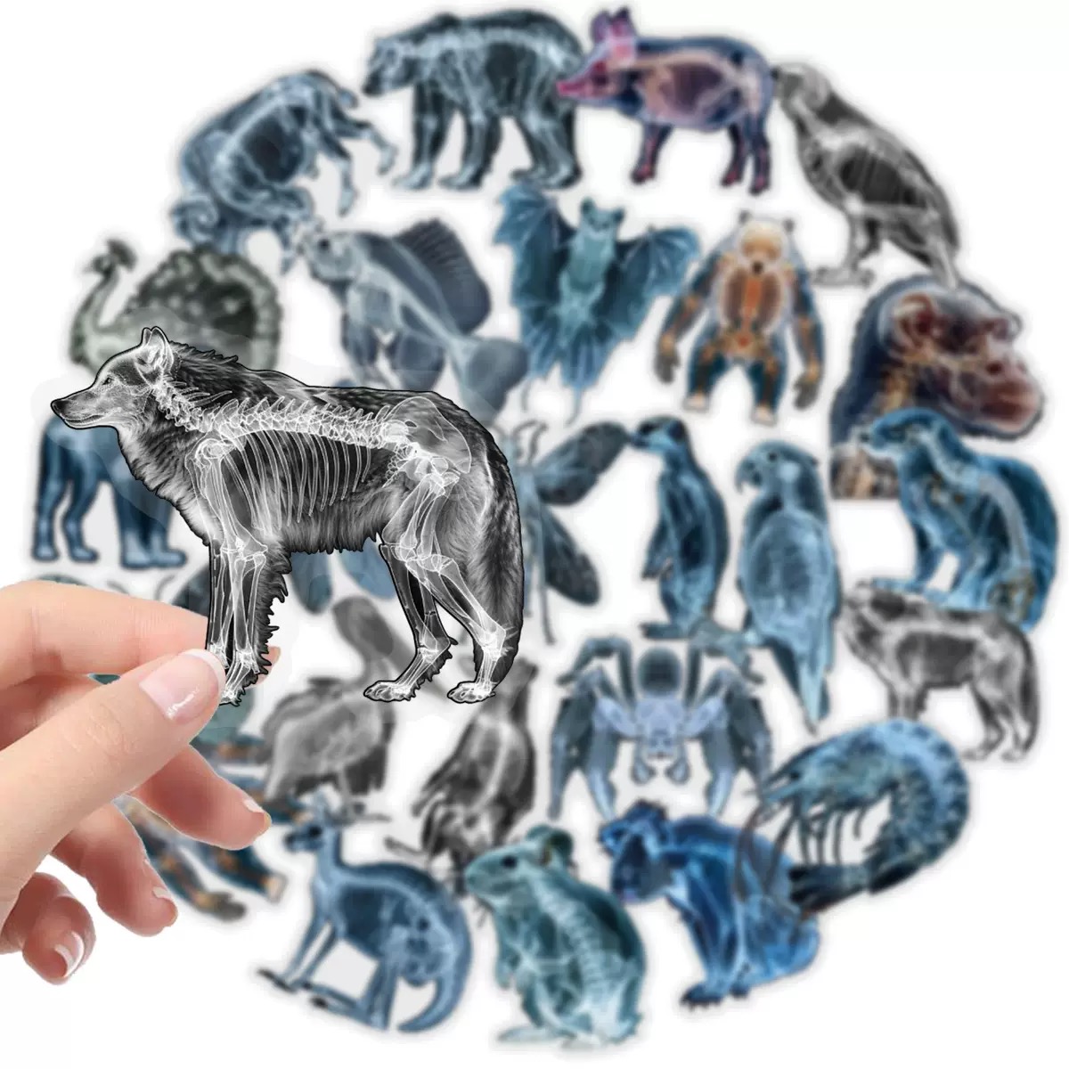 10/56pcs Animal Skeleton Stick - Kids Xray Toys recensione e prezzo